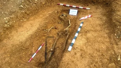 A fost descoperit mormântul lui Andreşel Ioan, ucis de Securitate în 1950 în judeţul Alba