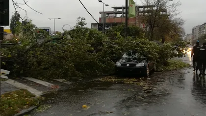 Bilanţul furtunii de marţi: Două persoane rănite şi peste 150 de copaci doborâţi în Bucureşti şi Ilfov. 11 judeţe afectate