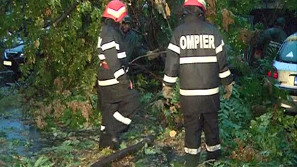 Copac doborât de vijelie peste un spital din Capitală, pacienţi evacuaţi de urgenţă