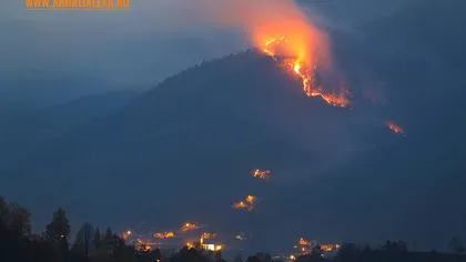 Incendiu în Apuseni. Arde pădurea Sălciua. Incendiul s-a întins pe 10 hectare. Pompierii şi sătenii se luptă cu focul