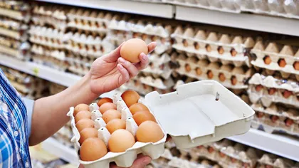 Ce trebuie să ştii când cumperi ouă de la supermarket. Cum îţi dai seama dacă ouăle provin de la o găină bolnavă