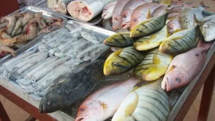 ANSVSA controlează comercianţii şi procesatorii de peşte
