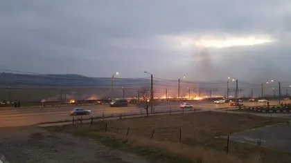 Incendiu de vegetaţie lângă Iaşi, locuitorii de la periferia oraşului au privit flăcările cu groază