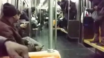 Panică la un metrou din New York din cauza unui şobolan VIDEO