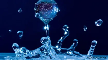 Adevărul despre apă, lichidul vieţii. Apa are memorie şi vorbeşte cu noi. Cum putem s-o transformam înspre binele nostru