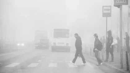 Cod galben de ceaţă pentru mai multe zone din ţară, vizibilitatea scade sub 50 de metri