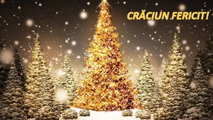 Mesaje de Crăciun, cele mai frumoase felicitări de Sărbătorile de iarnă pentru cei dragi
