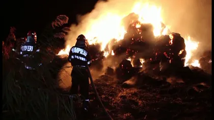 Incendiul de la Herghelia Mangalia a fost stins după aproape 12 ore