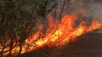 Aproximativ 200.000 de persoane au primit ordin de evacuare în urma extinderii incendiilor de vegetaţie din California