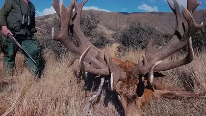 Un celebru vânător de trofee a murit, la rândul său, împuşcat. Bărbatul se afla în Africa, unde vâna lei
