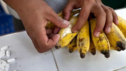 Poliţia a confiscat 631 de kilograme de cocaină provenită din Columbia. Drogul era ascuns în banane