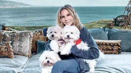 Câinele preferat al Barbrei Streisand, clonat de două ori