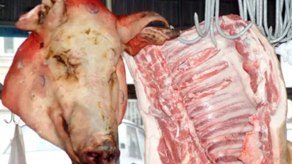 25 de oameni, spitalizaţi după ce au mâncat carne de porc infestată cu Trichinella