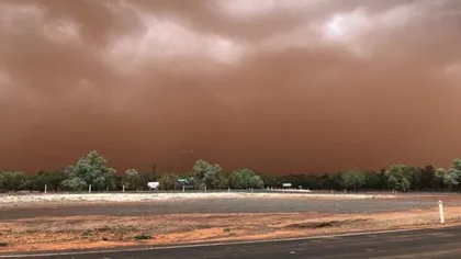 Furtună de nisip spectaculoasă în Australia. Mai mulţi copaci au fost doborâţi de vânt VIDEO