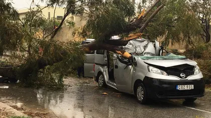 Furtună devastatoare în Malta: Un român a murit după ce un copac s-a prăbuşit pe maşină FOTO