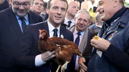 Emmanuel Macron a adoptat o ... GĂINĂ. Preşedintele Franţei trebuie să o protejeze acum de câinele prezidenţial GALERIE FOTO