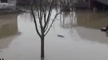 Mai multe gospodării din Maramureş au fost inundate. Pompierii au intervenit de urgenţă VIDEO