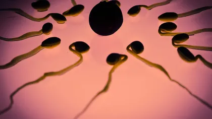 Calculator ovulaţie. Cum sa îţi calculezi perioadă fertilă inclusiv pentru ciclu neregulat