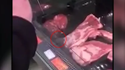 Imagini revoltătoare într-un hipermarket din Argeş. Un şoarece a fost filmat printre bucăţile de carne VIDEO