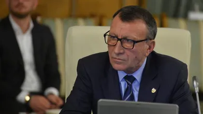 Vicepremierului Paul Stănescu: 
