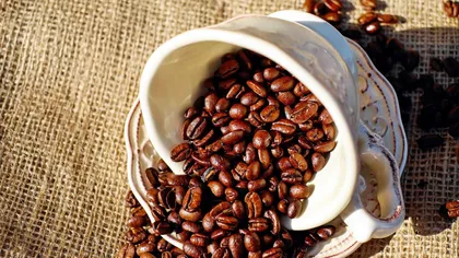 Cum să faci cafeaua perfectă. 4 reguli esenţiale de urmat