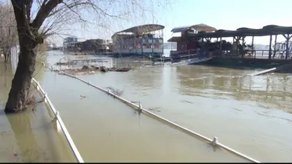 Cod portocaliu de inundaţii pe Dunăre în opt judeţe, de joi dimineaţa