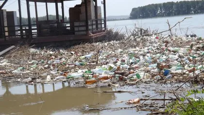 Tone de gunoi au apărut pe Dunăre, la Galaţi