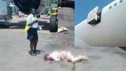S-a sinucis aruncându-se din avion. Cine este femeia care i-a îngrozit pe pasageri FOTO