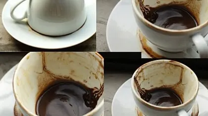 Câte linguri de cafea se pun la o ceaşcă? Reţeta pentru o ceaşcă ideală de cafea