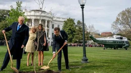 Stejarul plantat de preşedinţii Macron şi Trump în curtea Casei Albe a fost băgat în carantină