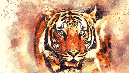 Horoscop chinezesc Anul Tigrului. Cum sunt persoanele născute în Anul Tigrului