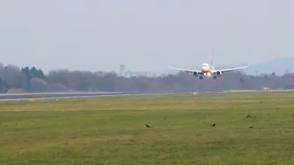 Un avion plin cu români care zbura pe ruta București - Madrid a aterizat de urgenţă la Pisa
