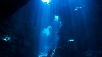 Cercetătorii sunt în alertă. INCREDIBIL ce s-a descoperit în cel mai adânc punct din ocean FOTO