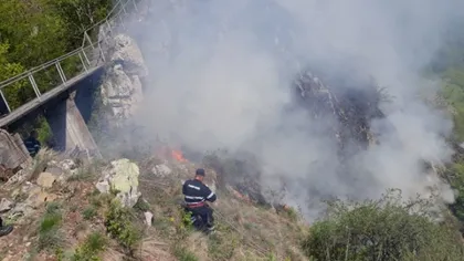 Incendiul din apropierea cetăţii Poenari a fost stins
