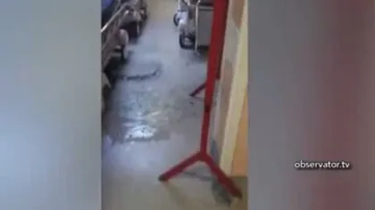 Inundaţie pe holurile Spitalului Floreasca, după ce canalizarea a refulat în interior VIDEO