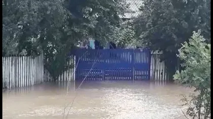 Ploile au făcut prăpăd în ţară. Mai multe case au fost inundate, iar o maşină a fost luată de viitură VIDEO
