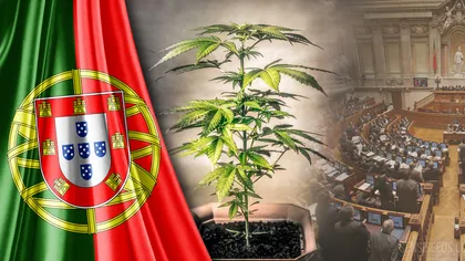 Portugalia legalizează medicamentele pe bază de canabis