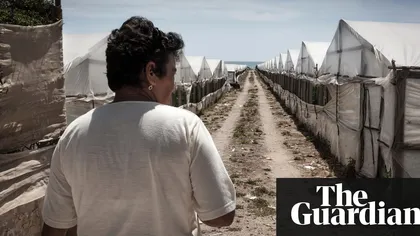 Români arestaţi în Sicilia după ce au luat pentru exploatare alţi români pe care i-au păcălit cu locuri de muncă