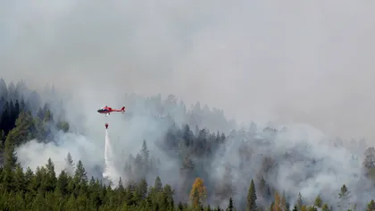 Ploile şi temperaturile mai scăzute au stins mai multe focare de incendii de pădure