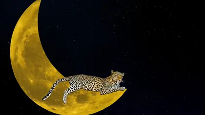 Horoscop weekend 20-22 iulie 2018. Între două eclipse, trăim misterul Lunii în Scorpion!