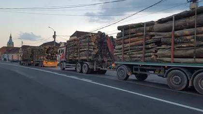Toate autovehiculele încărcate cu lemne, urmărite prin GPS din 2019