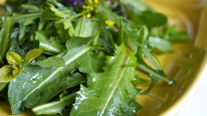 O cură de salată din frunze de păpădie poate regla valorile glicemiei