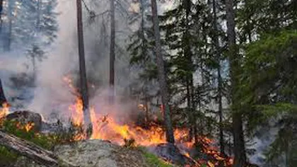 MAE Român, avertizare de călătorie în Suedia. Sunt incendii de pădure