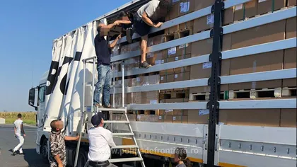 42 de migranţi, prinşi de poliţiştii de frontieră când încercau să iasă ilegal din ţară pe la Nădlac, ascunşi într-un camion