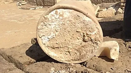 Brânză de 3.200 de ani, descoperită într-un sit antic. Conţine o bacterie ucigaşă