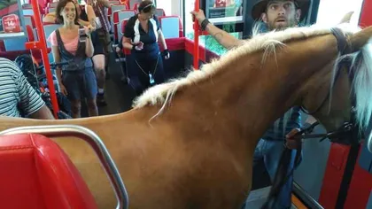 Un bărbat s-a urcat cu calul într-un tren regional. Reacţia controlorului a fost FABULOASĂ