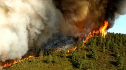 Incendii de vegetaţie în România. 84,2 hectare de pădure, mistuite de flăcări