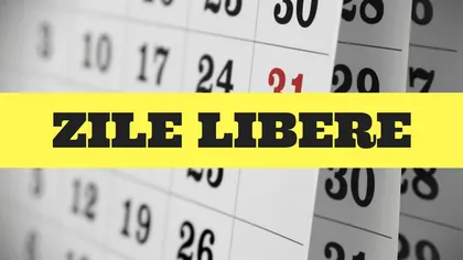 ZILE LIBERE 2018: Bugetarii vor avea o minivacanţă de nouă zile la sfârşitul lunii august. S-a decis în ultima şedinţă de Guvern
