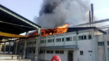 Incendiu puternic la o fabrică de prelucrare a lemnului din Drobeta Turnu Severin