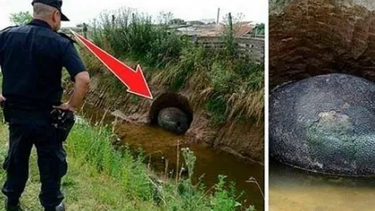 Au descoperit îngropat un obiect foarte ciudat. Au crezut că e un ou uriaş, dar au avut un şoc când s-au apropiat: 